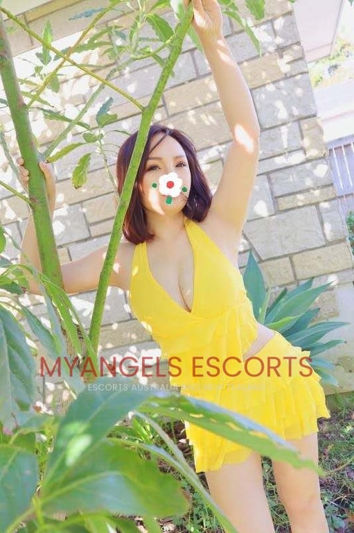 Cissie, 26, Japanese escort in Auckland Northcote, D cup sex worker