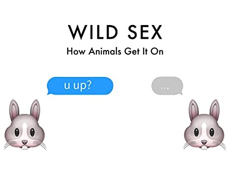 Play Wild Sex